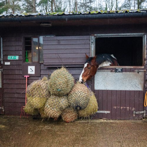 The DEFRA Approved stabling facility located in Carlisle, accessible within minutes from the M6.